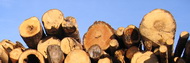 holz 01